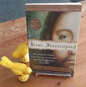 Jesus, Interrupted: Revealing the Hidden Contradictions  in the Bible-Softcover